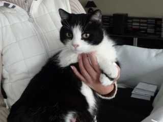 pici_1.jpg pici_1.jpg