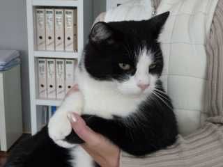 pici_2.jpg pici_2.jpg