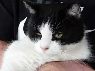 pici_3.jpg pici_3.jpg