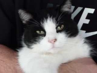 pici_4.jpg pici_4.jpg