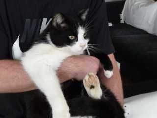 pici_5.jpg pici_5.jpg